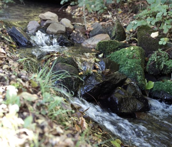 Rushing brook