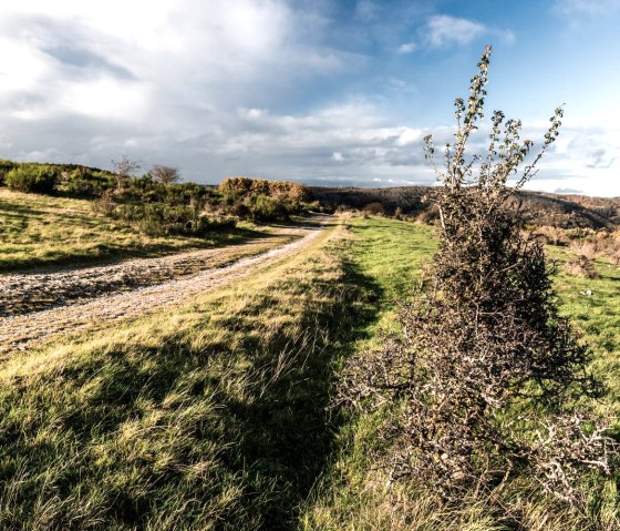 Geführte Wanderung am 21.06.2025, © Frank Wiesen