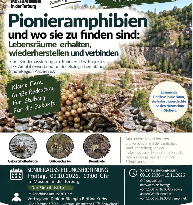 Ausstellung: Pionieramphibien und wo sie zu finden