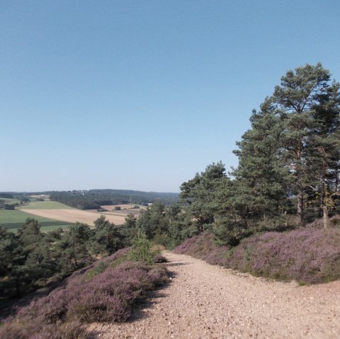 Panorama Weg bei Mechernich, &copy; Guido Hendle
