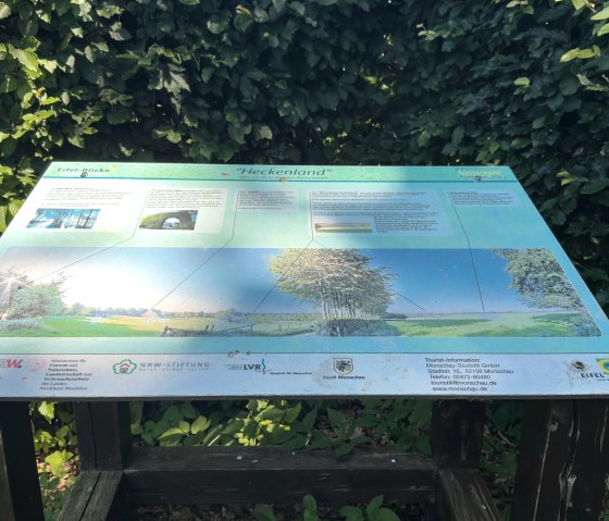 Information Board, &copy; Rureifel Tourismus GmbH, Michelle Wiesen