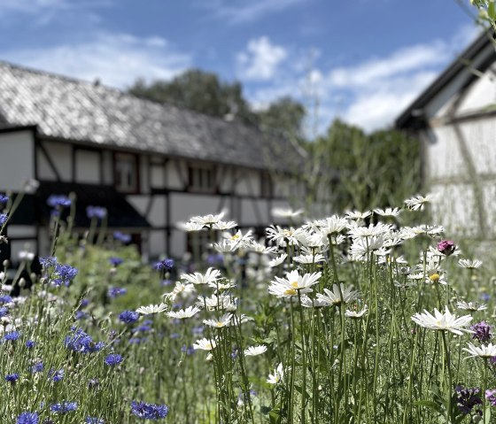 image00006, &copy; Nordeifel Tourismus GmbH & Ferienwohnung Sternengarten Eifel