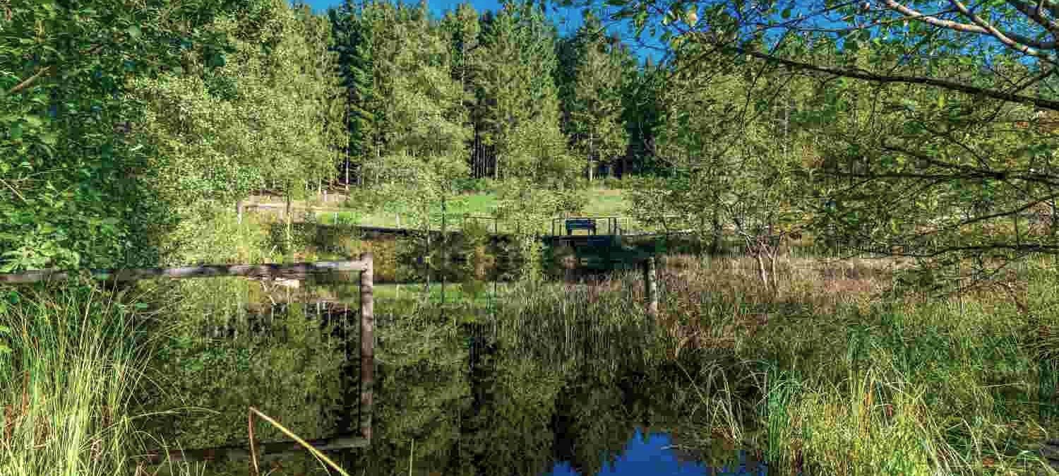 Moorgebiet, &copy; Paul Meixner