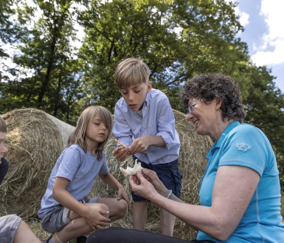 Alles zum Biber, © Eifel Tourismus GmbH_Vollmer