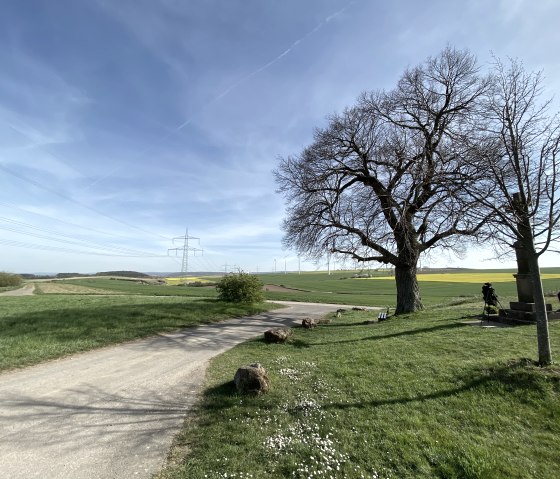 B&ouml;rdeblick Vlatten