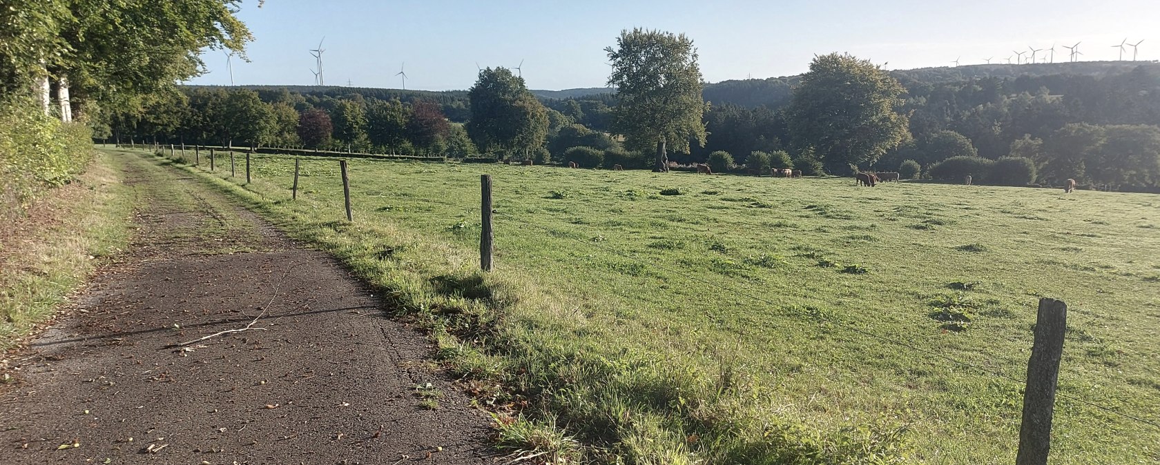 Weg Wiesen Lammersdorf September (co) Thei&szlig;en-Brau