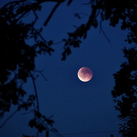 Mond am Nachthimmel, &copy; Susanne Kuhl
