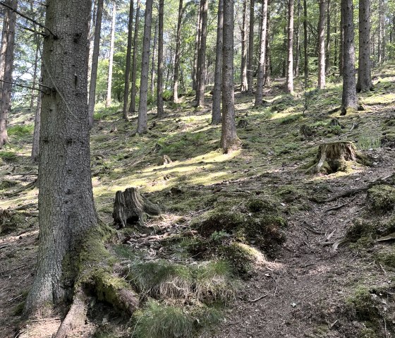 005_53 Trevvel-Route, &copy; Rursee-Touristik GmbH