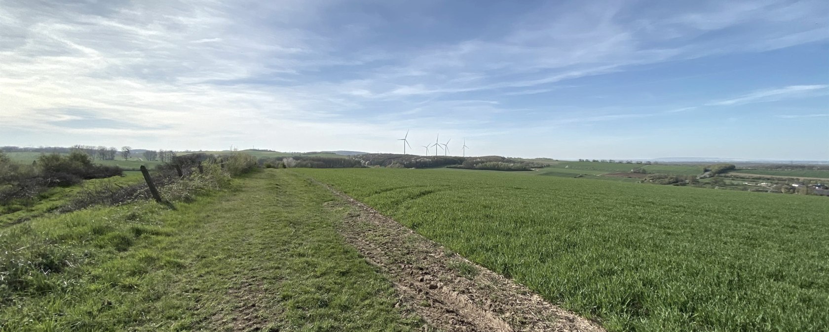 Blick in die Bördelandschaft, © Rureifel-Tourismus e.V.