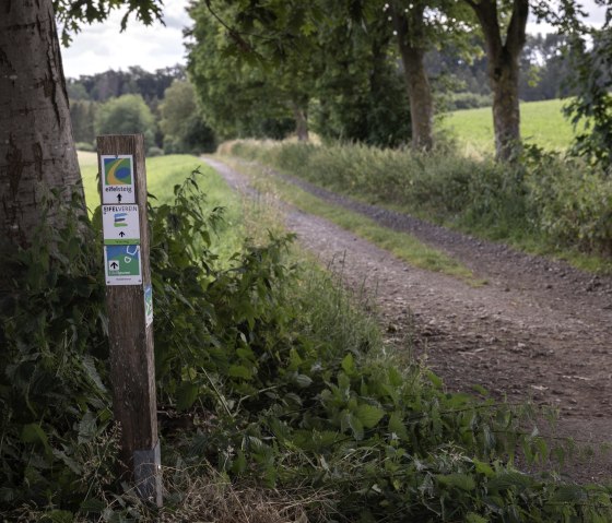 A hiking trail in a rural setting with a wooden post showing signs for the Eifelsteig and the Eifelverein., &copy; Eifel Tourismus GmbH, Tobias Vollmer
