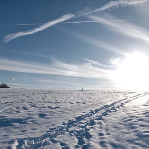 Leaving and Arriving, &copy; Seelsorge in Nationalpark Eifel und Vogelsang