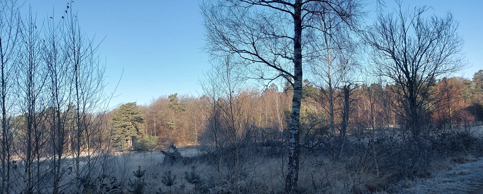 Morgenglanz Frost Schlangenberg Dezember-Februar (