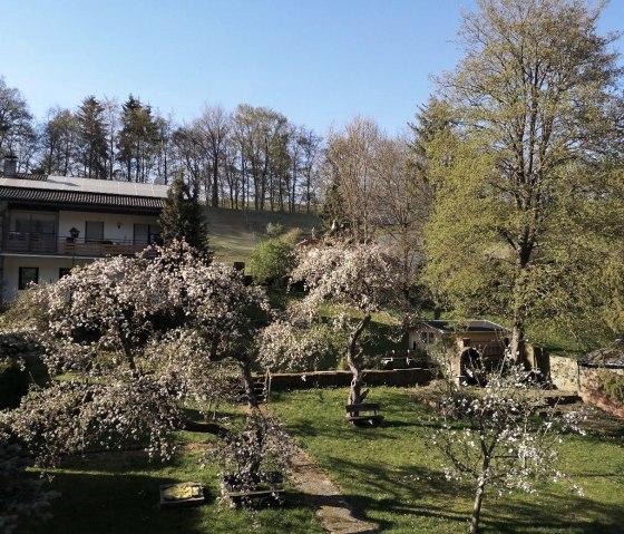 Garten im Sommer, &copy; Nordeifel Tourismus GmbH & Urfterhof Hotel