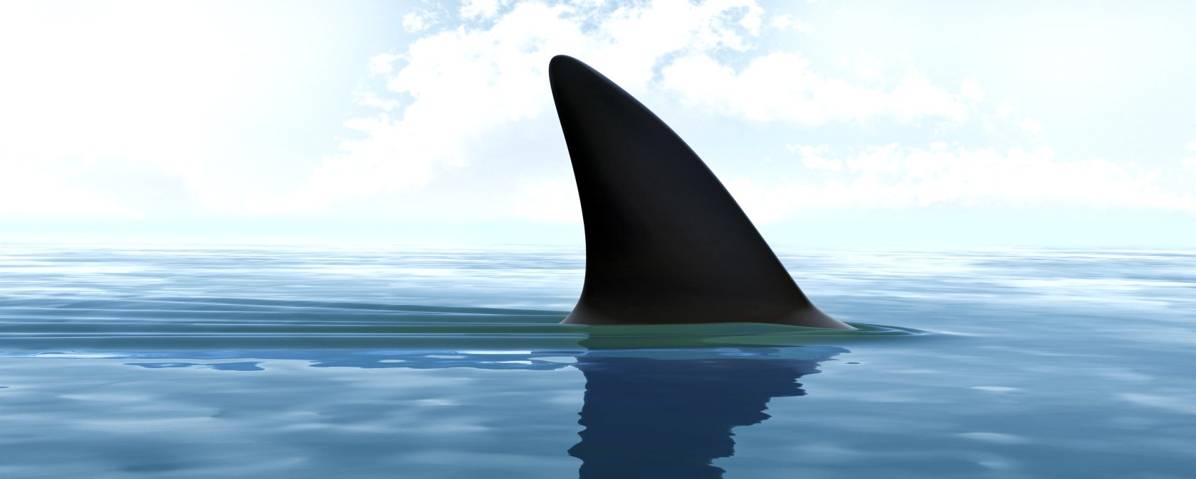 Thieving Sharks, &copy; iStock, iLexx