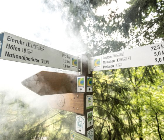 Wildnis-Trail und Eifelsteig teilen sich den Weg, &copy; Eifel Tourismus Gmbh/Dominik Ketz