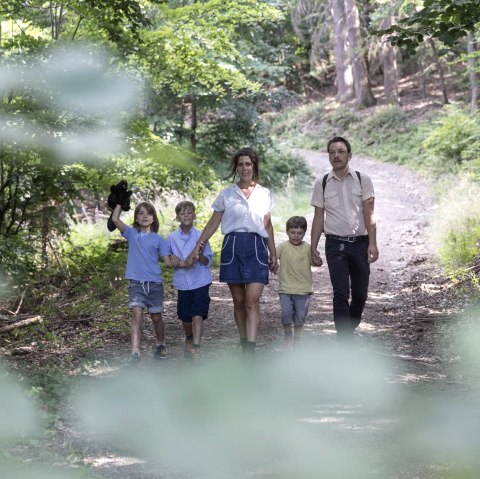 On the trail of the beaver, © Eifel Tourismus GmbH_Vollmer