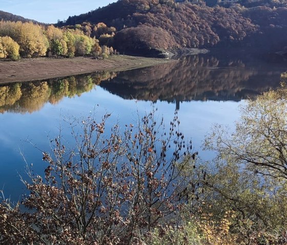 Nationalpark Eifel- Blick auf Vogelsang