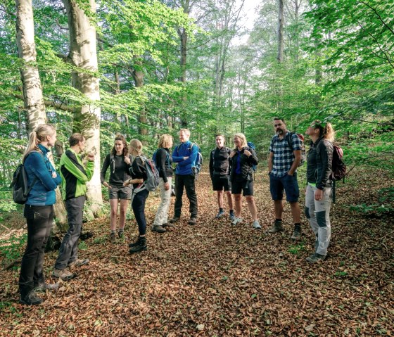 Wandergruppe im Wald, &copy; Paul Meixner
