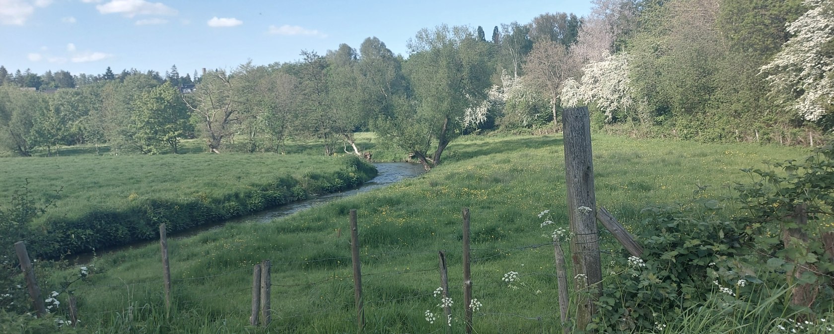 Frühlingsweg (co) Theißen-Braun