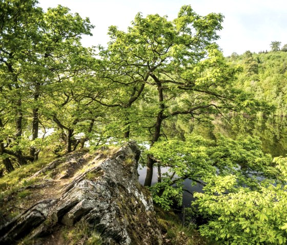 Seeufer am Rursee, &copy; St&auml;dteRegion Aachen