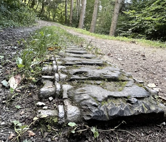 Wanderweg Nr. 66 - Kall Trail, &copy; Rureifel-Tourismus e.V., Michelle Wiesen