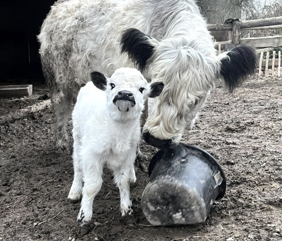 Audrey with mom