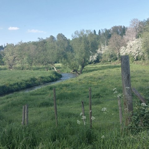 Frühlingsweg (co) Theißen-Braun