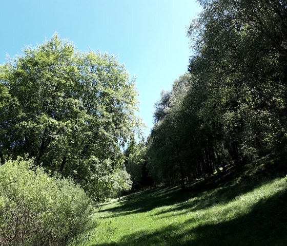 Perlbachtal, &copy; Monschau-Touristik