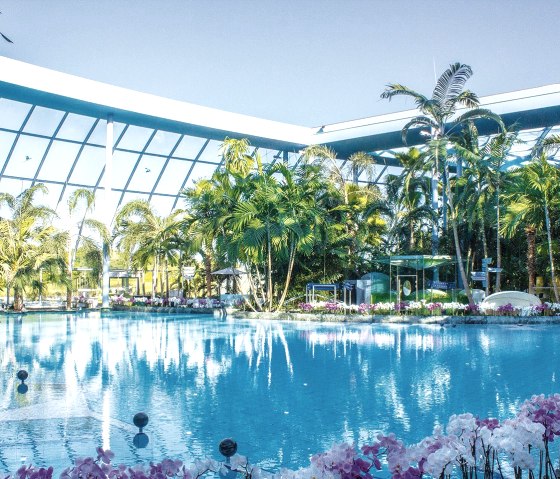 Therme Euskirchen, Baden unter offenem Dach, &copy; Therme Euskirchen