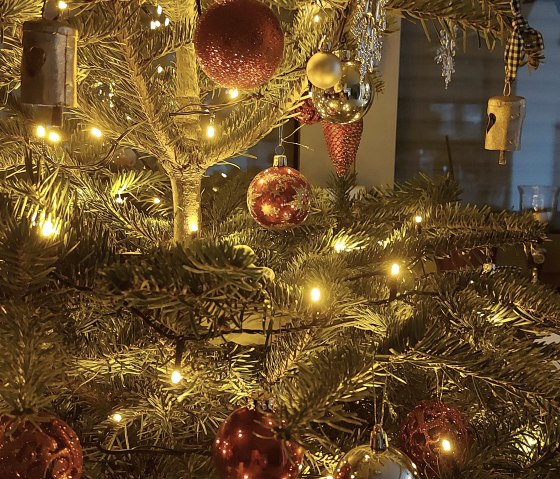 Christmas tree (c) Thei&szlig;en-Braun