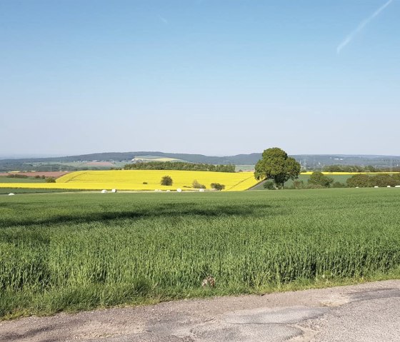 Landschaft um L&uuml;ckerath, &copy; Nordeifel Tourismus GmbH & P&uuml;nderhof