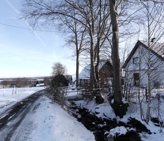 winter, &copy; Klaus Gehlen