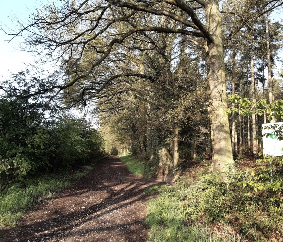 20210507_072555, &copy; Annette Rosen-Roevenich & Nordeifel Tourismus GmbH