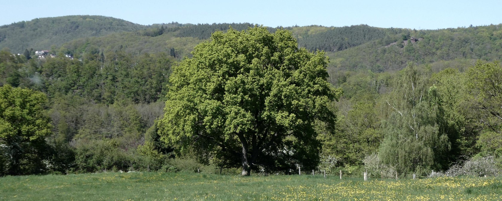 View, &copy; Eifel heimisch