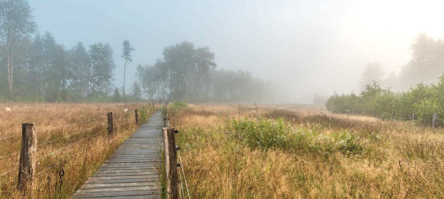 Sistiger Heide, &copy; Paul Meixner