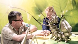 Ausstellung Wildnis(t)r&auml;ume mit Kindern besuchen, &copy; Nationalpark Eifel