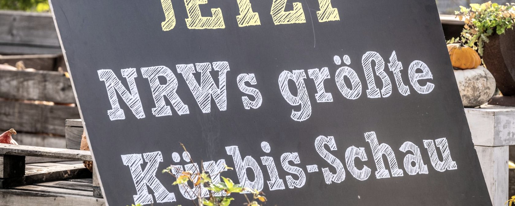 Werbeschild K&uuml;rbisschau, &copy; Eifel Tourismus GmbH - Dominik Ketz