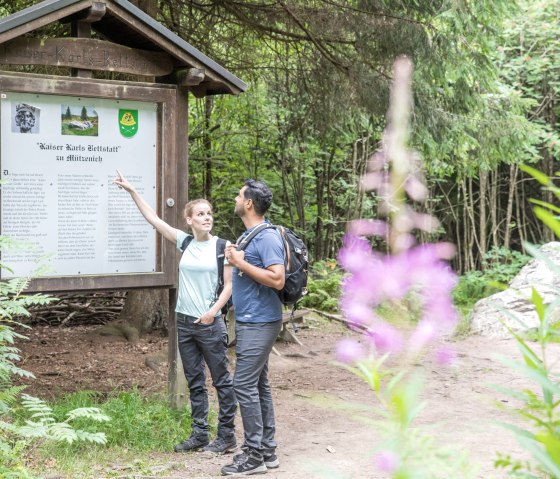 Infotafel an Kaiser Karls Bettstatt, &copy; Eifel-Tourismus GmbH, AR, shapefruit AG - finanziert durch REACT-EU