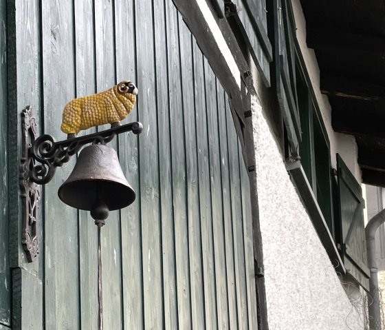 Schaf, &copy; Nordeifel Tourismus GmbH & Zum Goldenen Schaf III