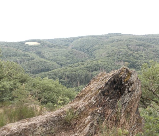 Fels mit Kermeterblick, © Eifel heimisch