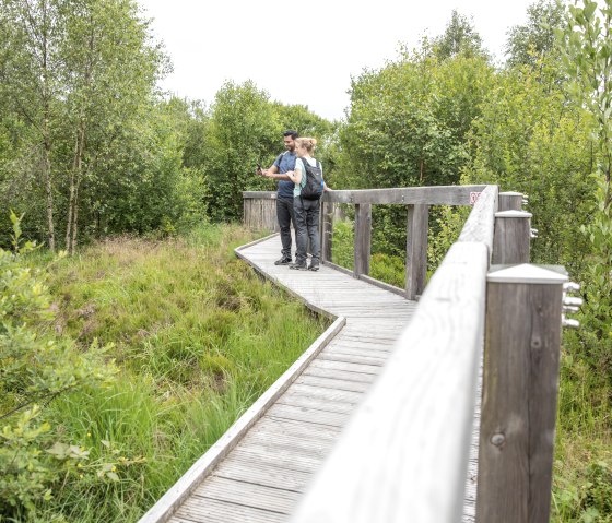 &Uuml;ber Stege wandern, Palsen bei Monschau-M&uuml;tzenich, &copy; Eifel Tourismus GmbH, AR-shapefruit AG