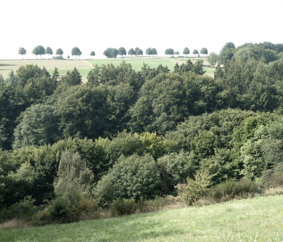 Aussicht &uuml;ber das Tal, &copy; Eifel heimisch