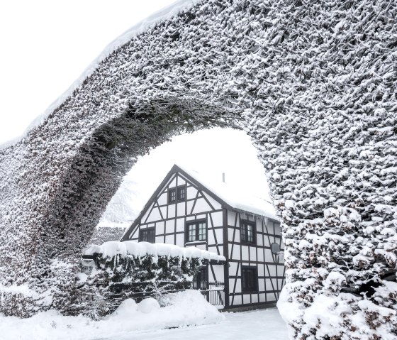 Monschauer Heckenlandschaft im Winter, &copy; Eifel Tourismus GmbH, Dominik Ketz
