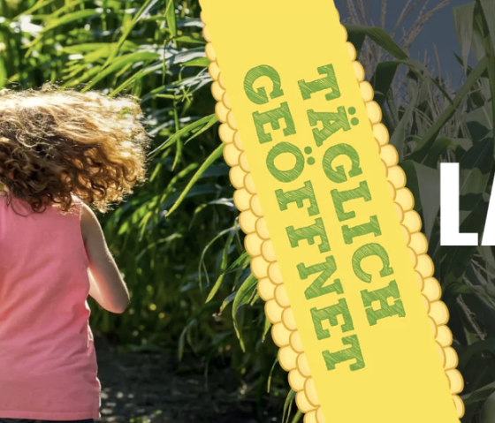 Corn maze, © Najla Nabout