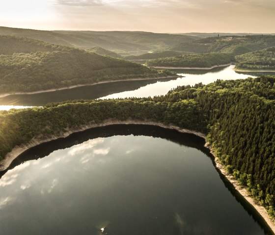 Wildnis von morgen: Nationalpark Eifel, &copy; Eifel Tourismus GmbH, D. Ketz