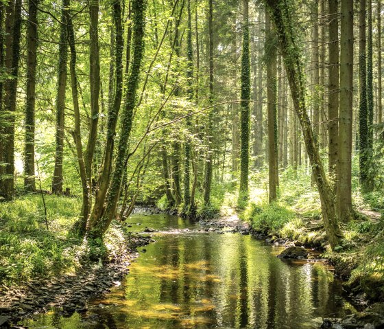 Vichtbachtal Rott, &copy; St&auml;dteRegion Aachen, Dominik Ketz