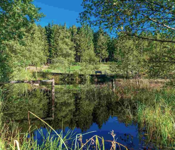 Moorgebiet, &copy; Paul Meixner