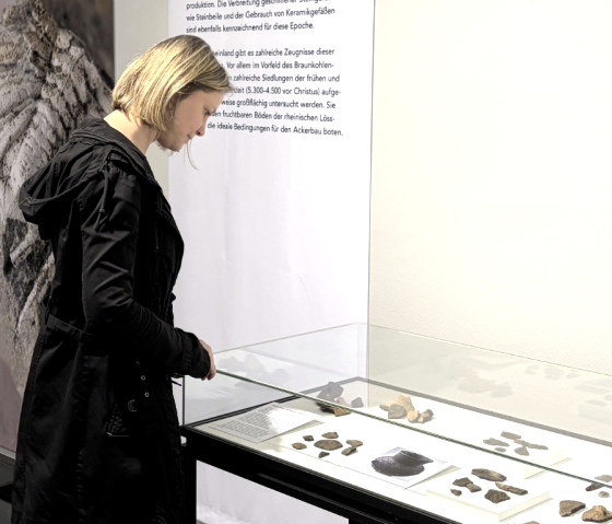 Artefakte aus der Jungsteinzeit, &copy; LVR-Landesmuseum Bonn - J. Vogel
