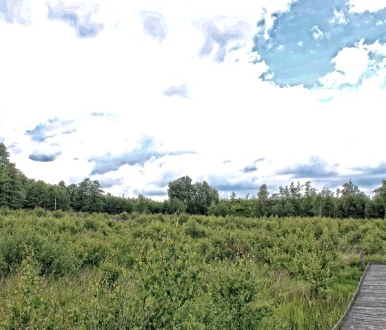 Bodenlehrpfad am Todtenbruch, &copy; Rureifel Tourismus e.V. - Dennis Winands