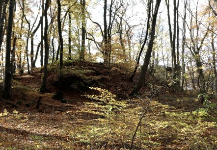 Wanderung, &copy; Guido Hendle